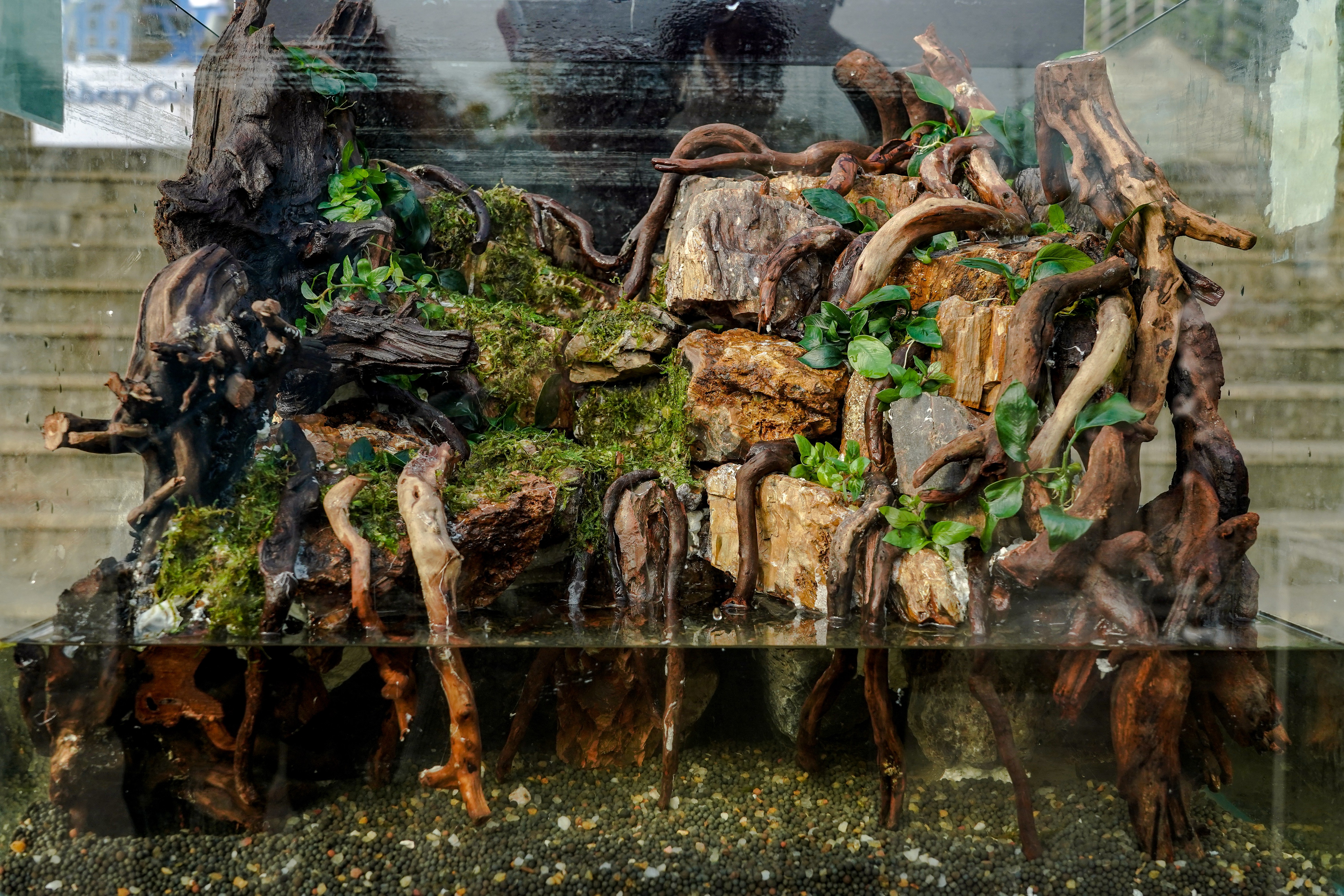 造景作品《崖洞》（伟德国际1946官方网记者 孙一享 摄）